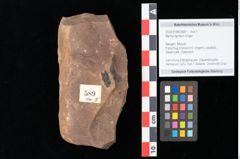Foto (Objekt + Etikett) von Myrica lignitum Unger (NHMW-GEO-2024-0188-0589)